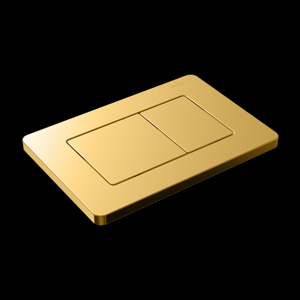 Gold Stainless Steel Flush Plate – Aquant India